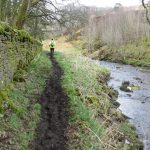 Allendale Riverbank